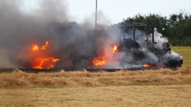 isle of wight echo news