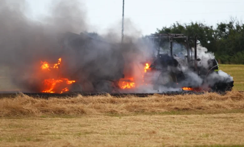 isle of wight echo news