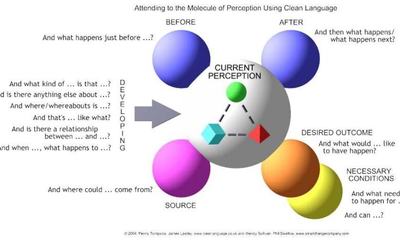clean language questions