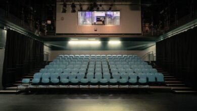 pontio bangor cinema