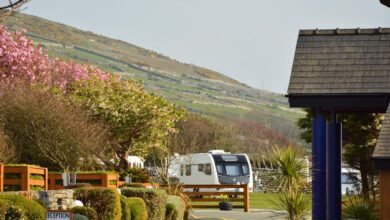 trawsdir caravan park