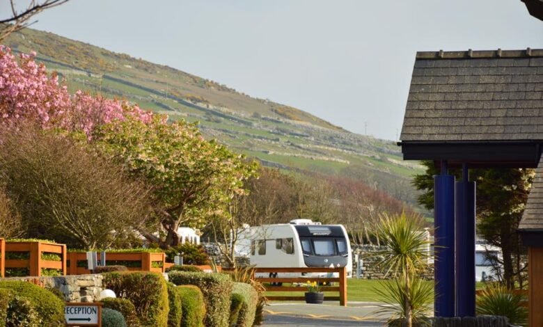 trawsdir caravan park