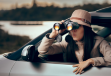 private investigator apprenticeship uk