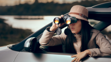 private investigator apprenticeship uk