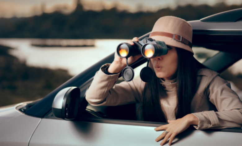 private investigator apprenticeship uk