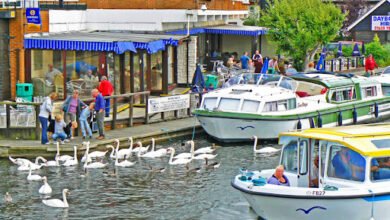 things to do in wroxham