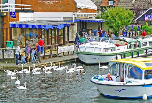 things to do in wroxham