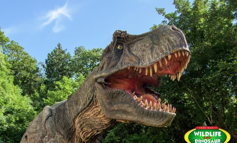 combe martin wildlife and dinosaur park tickets