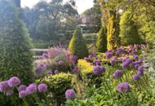 borde hill garden tickets