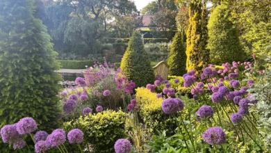 borde hill garden tickets