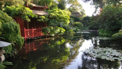 compton acres opening times