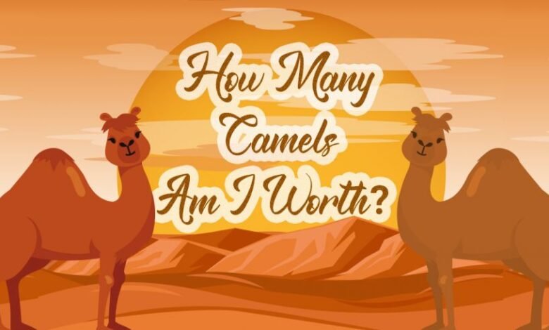 How Many Camels Am I Worth