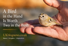 A Bird in the Hand Is Worth Two in the Bush