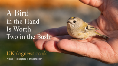 A Bird in the Hand Is Worth Two in the Bush