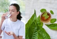 What is the Strongest Natural Antibiotic for Tooth Infection