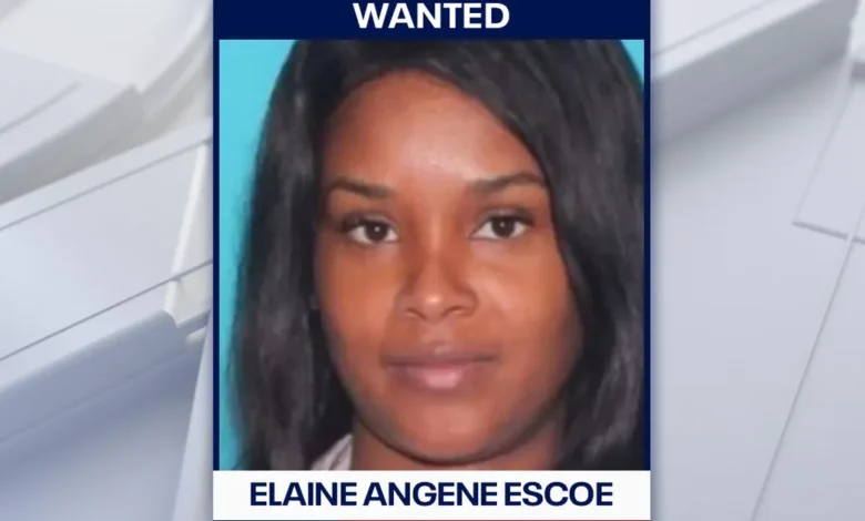 Elaine Angene Escoe FBI Search