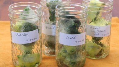 how to freeze fresh herbs