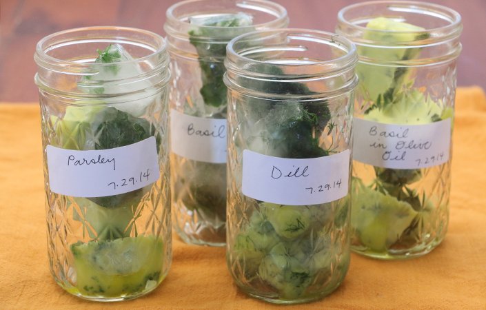 how to freeze fresh herbs