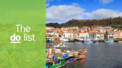 Things to Do in Scarborough