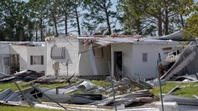 Storm Damage