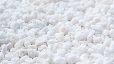 PVP Industries Coarse Horticultural Perlite