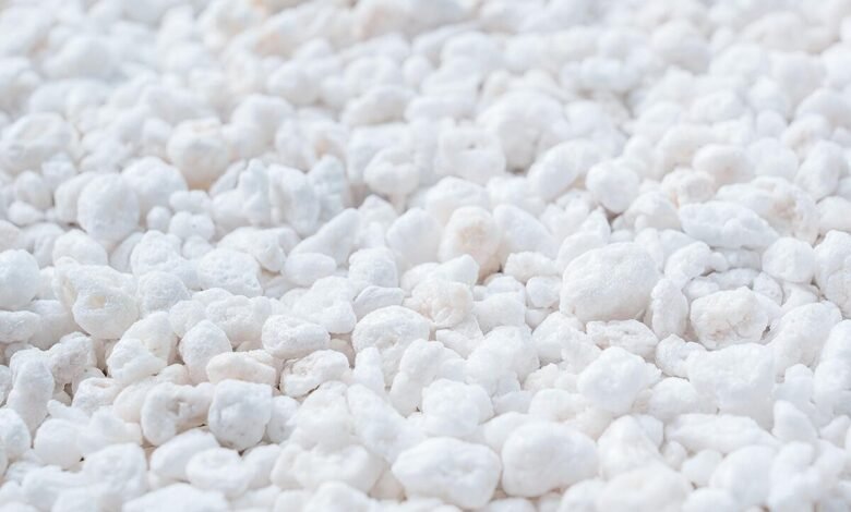 PVP Industries Coarse Horticultural Perlite