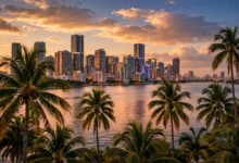 Miami skyline at dusk with palm trees.